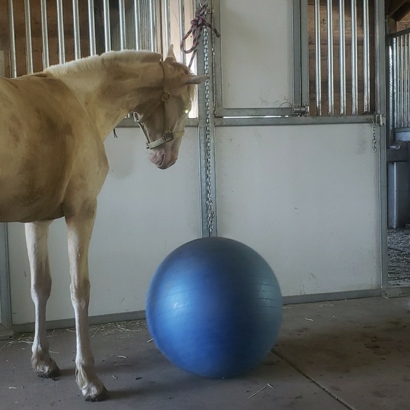 Meet your Posher, Candice - Picture 1 of 1